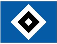 开云体育在线-汉堡遭遇失利，保级希望再次受挫