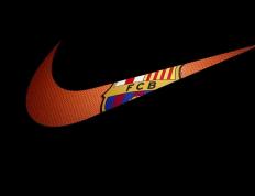 开云体育app-冰火双重天，霍勒迪手感炸裂，休斯顿火箭烧熔上海大鲨鱼