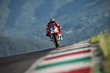 开云平台-神谕降临绿茵场，戈麦斯与希腊的符号学谋杀