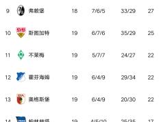 开云体育APP下载-霍芬海姆客场逆袭，反超积分榜
