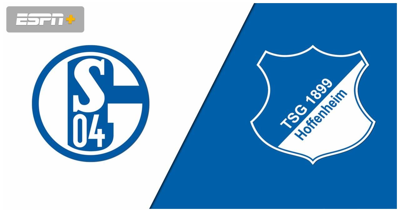 开云体育入口-霍芬海姆高歌猛进，势不可挡的简单介绍