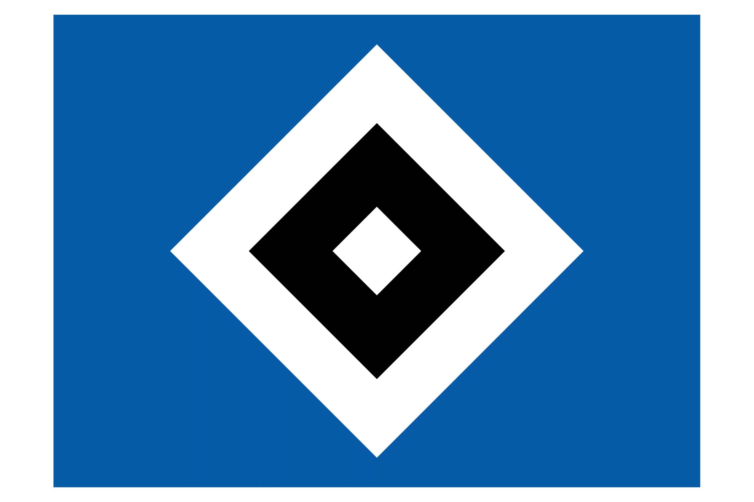 开云体育在线-汉堡遭遇失利，保级希望再次受挫