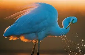 开云官网-卡斯泰尔主场顽强抗争,实力渐显过硬